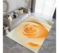 Living Room Rugs 40 X 60 Cm Plant Rose, Area Rugs For Bedroom Light Luxury Minimalist Style, With Durable Anti-Slip Backing For Easy Clean- For Bedroom Hall Kitchen Kids Room Doormat C /2463938210320