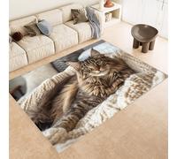 Living Room Rugs Large 140x200 cm Carpet Pattern Cat Cute Maine Coon 3D Print Machine Washable Rug Non Slip Cashmere Imitation Material Suitable for Children's Room Bedroom Area Floor Mat Decor