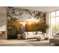 Photo wallpaper Summer Day Lake Fishing Spot wall decor 368x248cm brown reeds