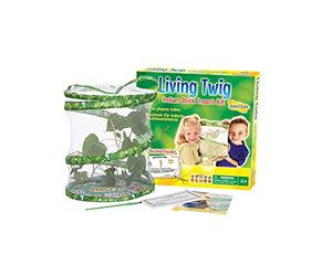 Living Twig Stick Insect Kit