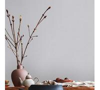 Livingwalls House of Turnowsky 389023 Plain Wallpaper Grey Non-Woven Wallpaper 10.05 m x 0.53 m Made in Germany