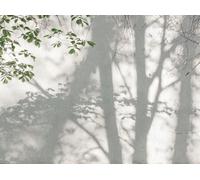 Livingwalls Photo Wallpaper Concrete in Green/White - High-Quality Non-Woven Wallpaper 399251 with Motif on 1.59 m x 2.80 m - Made in Germany