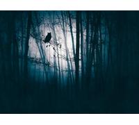 Livingwalls Photo Wallpaper Forest in Blue, Black - High-Quality Non-Woven Wallpaper 399091 with Motif on 3.71 m x 2.80 m - Made in Germany