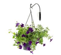 Livivo 12" Swivel Hanging Basket Bracket In Metallic Silver Metallic Silver One Size
