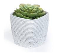 Livivo 12Cm Plastic Plant Pot White Planter With Drainage Guide