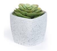 Livivo 12Cm Plastic Plant Pot White Planter With Drainage Guide