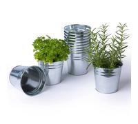 Flower Pots Set of 12, - Galvanised Iron LIVIVO White One Size