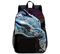 lixiaochao Adult children's backpack Dinosaur Classic backpack Casual schoolbags are suitable for students' fashion backpacks （45x30x15cm） 3D printed backpack