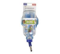 Lixit Glass Water Bottles for Rabbits, Ferrets, Small Birds, Guinea Pigs, Rats, Hamsters and Other Pets (Birds and Small Animals, 16oz)