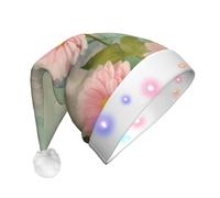 LIXLZH Floral Flowers Daisies Print Adult Led Christmas Hat Festive Party Accessory Santa Hats Holiday Celebrations
