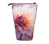 Lixlzh Pretty Flower Print Telescopic Standing Pencil Bag Polyester Pen Holder Stationery Office Organizer Box, Black, One Size, Art Deco