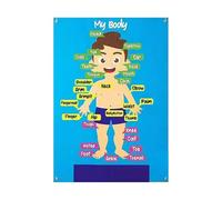 LIXSAZSE Durable Body Parts Learning Story Board Set Crafted Felt Early Learning With Interactive Body Parts Education Preschool Human Educational Teaching Storytelling