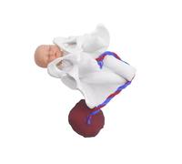LIXSAZSE Educational Female Pelvis Model for Science Education Teaching Study Realistic Childbirth Model Mini Placenta
