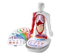 LIXSAZSE Educational Toy Human Body Model Parts Kids Engaging Learning Tool Self Study 360° Rotating Base Allows Children To Observe Various Angles Human Body Model Parts Kids Educational Teaching