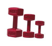 LIXSAZSE Mini Dumbbells Model Sports Equipment Various DIY Scene Arrangements And Dollhouse Decoration Ideas Sturdy Miniature Kettle Bell Dollhouse Furniture For Kid, red, mutil