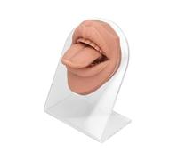 LIXSAZSE Mouth Tongues Display 3D Silicone Tongue Mouth Model Soft Flexible Realistic Practice Tool For Piercing Jewelry Education Piercing Practice Body Parts For Jewelry Display