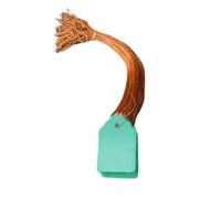 LIXSAZSE Plant Hanging Tags Waterproof Labels High Grade PVC Easy to Hang and Write Information Comes with Strip Line Plant Tags with Cord for Labelling Plants Shrubs, Green, 3.5x2.5cm