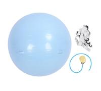 LIYJTK Flip Assist Ball, Anti-Burst PVC Core Training Ball, Stability Balance Yoga Exercise Ball with Accessories (Rosy)