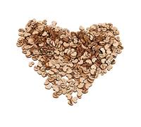 LIYJTK WOODEN HEARTS VINTAGE UNIQUE HEART CUTOUTS WEDDING BABY SHOWER DECORATION 1000 PCS