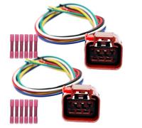 LIZAPUS 2PCS Tail Lights Connector Compatible with Dodge Ram 1500 2002-2006 3.7L/4.7L/5.7L/5.9L/8.3L 55077348AF 2AME77347A Wiring Pigtail Harness