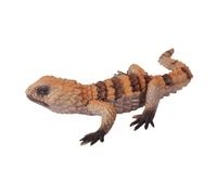 Lizard Animal Model Toys Science Educational Props Early Teaching
