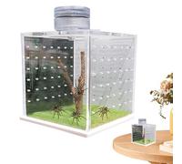 Lizard Cage | Clear Tarantula Enclosure | Breeding Kennel for Praying Mantis, Small Reptile Tank with Light Humidifier and Feeding Port for Amphibians and More