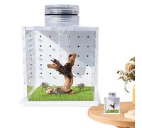 Lizard Cage, Reptile Basin, Transparent Turtle Tank, Breeding Box for Praying Mantis Habitat, Small Reptile Tank with Light Humidifier and Feeding Opening for Amphibians and Others