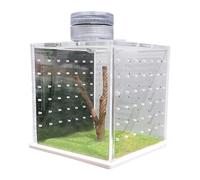 Lizard Cage, Reptile Basin, Transparent Turtle Tank, Breeding Box for Praying Mantis Habitat, Small Reptile Tank with Light Humidifier and Feeding Opening for Amphibians and Others