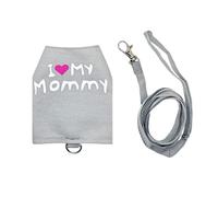 Lizard GlowNight Lead - Adjustable Reptile Walking Harness with Soft Chameleon Outfit Lightweight and Secure Strap Comfortable Outdoor Training Equipment for Small Animals |