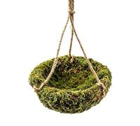 Lizard Hammock, Water Retention Feature, 15x15x8cm, Crested Gecko Tank Decor, Reptile Hammock, Comfortable Resting Spot, For Chameleon Leopard Gecko Lizard Resting Playin