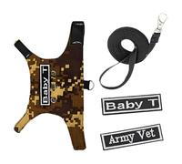 Lizard Harness Set, Lizard Rope | Adjustable Traction Rope for Walk Lizard,Outdoor Training Tool with Magic Strap for Partying, Going Out, s