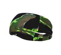 Lizard Looking up at The Sky Yoga Sports Fitness Headband, Unisex Running Basketball Elastic Headband, Sports Sweat-Absorbing Band,