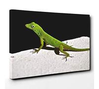 Lizard Reptile (1) Canvas Print for Living Room Bedroom Home Office Décor, Wall Art Picture Ready to Hang, 30 x 20 Inch (76 x 50 cm)