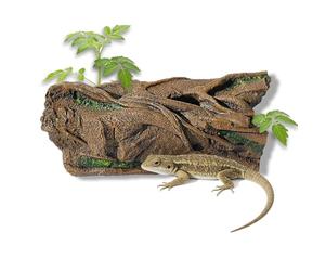 Lizard Snake or Reptile Hide, Large Hollow Log Snake Hideout for Ball Python Bearded Dragon