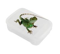 Lizard Terrarium | Incubation Terrarium for Geckos with 14 Compartments | Transparent Habitat for Breeding and Transportation of Spiders, Scorpions and Exotic Pets with Scalable Surface for