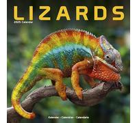 Lizards 2025 Square Wall Calendar | Animal, Reptile Calendar