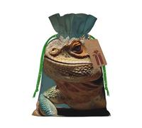 Lizards Christmas Gift Bags with Tags & Ribbon Ties, Xmas Drawstring Candy Treat Bag Christmas Gifts Sacks Reusable Gift Wrapping Bags for Holiday Party Favors Medium