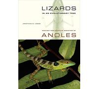 Lizards in an Evolutionary Tree - Ecology and Adaptive Radiation of Anoles: 10 (Organisms and Environments)