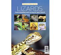 Lizards - Understanding and caring for your lizard