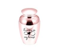 LIZHAYG Ashes Urn Pet Human Ashes Aluminum Alloy Cremation Urn Funeral Urns For Cat Dog Animal Pet(Rose Gold 70X45mm)
