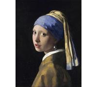 liziciti 5D Diamond Painting Art Kit for Adults, Full Drills Portrait Masterpieces Rhinestone Cross Stitch Embroidery DIY 30x40cm (Girl with a Pearl Earring)