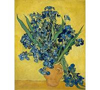 liziciti 5D Diamond Painting Art Kit for Adults, Full Drills Van Gogh's Masterpieces Rhinestone Cross Stitch Embroidery 30x40cm (Purple Iris in a Bottle)