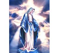 liziciti DIY 5D Diamond Painting Kits Full Drill Resin Diamond Painting Mother Mary Diamond Pictures for Wall Decoration, Visitations from The Virgin Mary, Canvas 12" x 16"