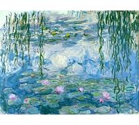 liziciti Monet 5D Diamond Painting Kits, Full Drill Famous Diamond Paintings Collection for Home Wall Decor DIY, 12x16in (Water Lily)