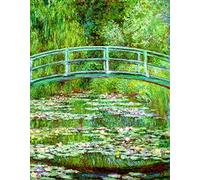 liziciti Monet 5D Diamond Painting Kits, Full Drill Famous Diamond Paintings Collection for Home Wall Decor DIY, 12x16in (Water Lily Pond)