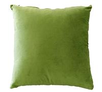 LIZZIE JACOBS Plain Velvet Super Soft Luxury Cushion Covers Velvet Material Matt Finish Cushion Covers 43x43cms Size (Green)