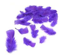 Lizzy 1 Pack Purple Decorative Feathers 20 gram Approx. 7cm | Kids Easter Arts and Craft Easter Bonnet Decorations Hampers DIY Fancy Dresses