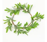 Lizzy 25cm Artificial Mistletoe Christmas Wreath with White Berries - Festive Door Decoration for Home, Wall, Mantel & Holiday Displays - Winter Hanging Decor