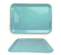 Lizzy Pastel Serving Tray Regular Rectangular (L36 x W26cm) | Dinner or Drinks Serving Trays Easy Grip Handles Ideal for Food Prep, Tea, Breakfast in Bed (1, Mint)