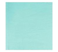 Lizzy Plain Cotton Multifunctional Bandanas Headwear Neckwear Men Women's Bandana (Aqua Blue)